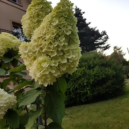 Privatunterkunft Janina